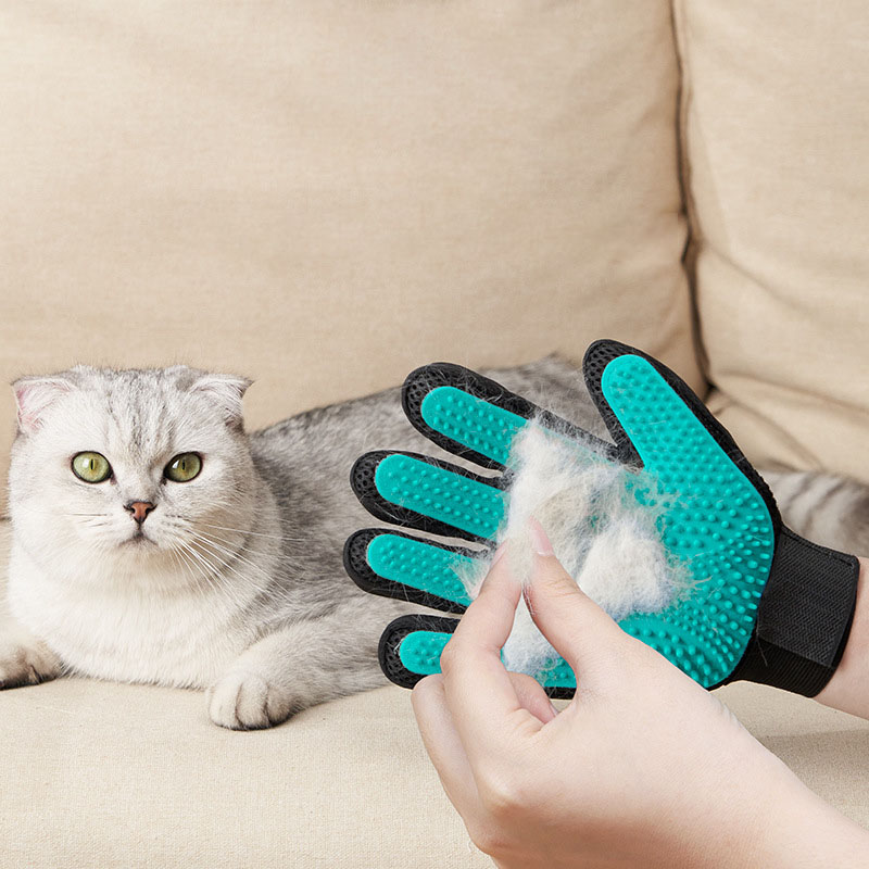 Sarung Tangan Perawatan Hewan  - Rubber Glove Cleaning ulasan dan harga